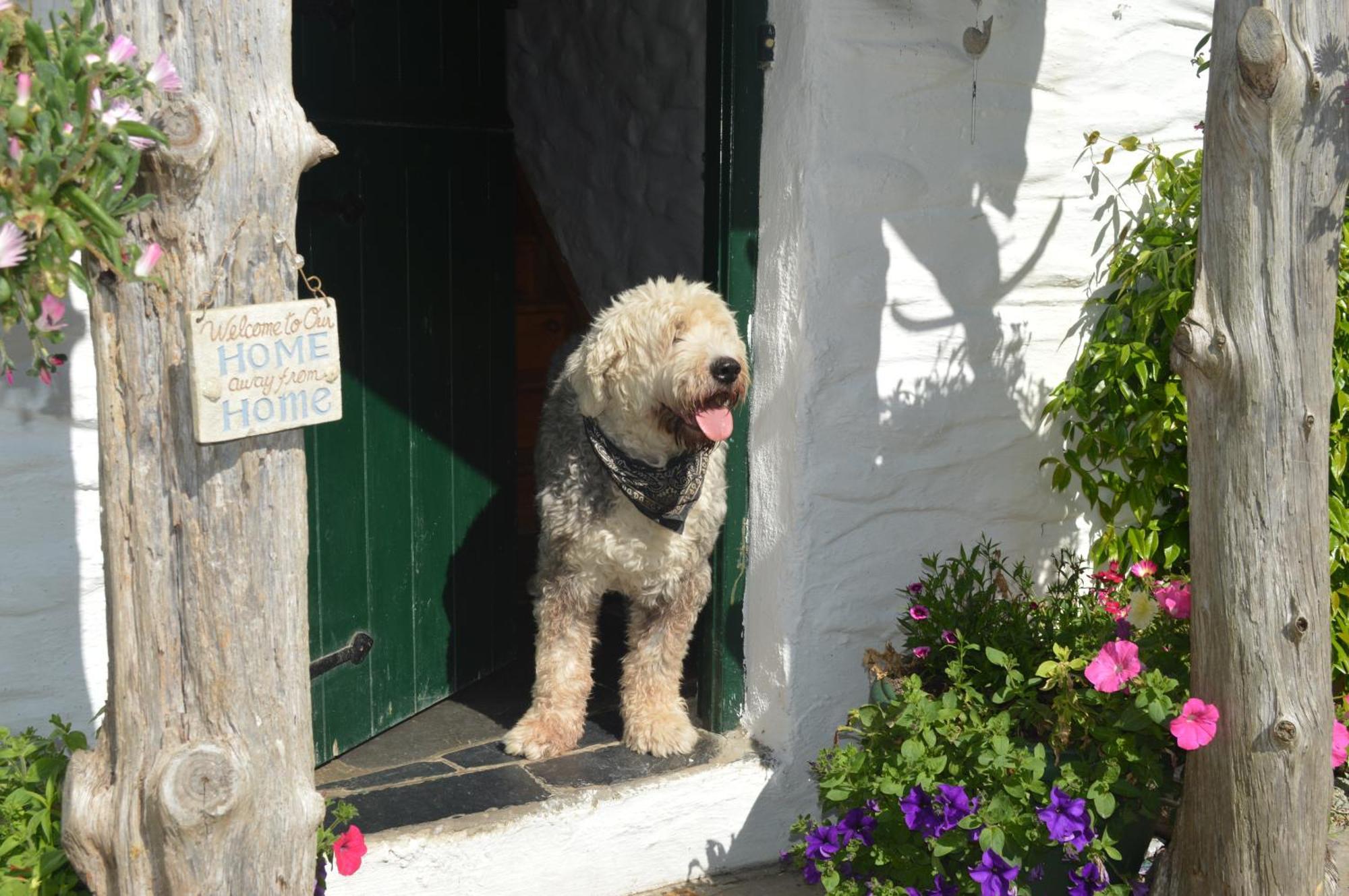 Lissyclearig Thatched Cottage Kenmare Exterior foto